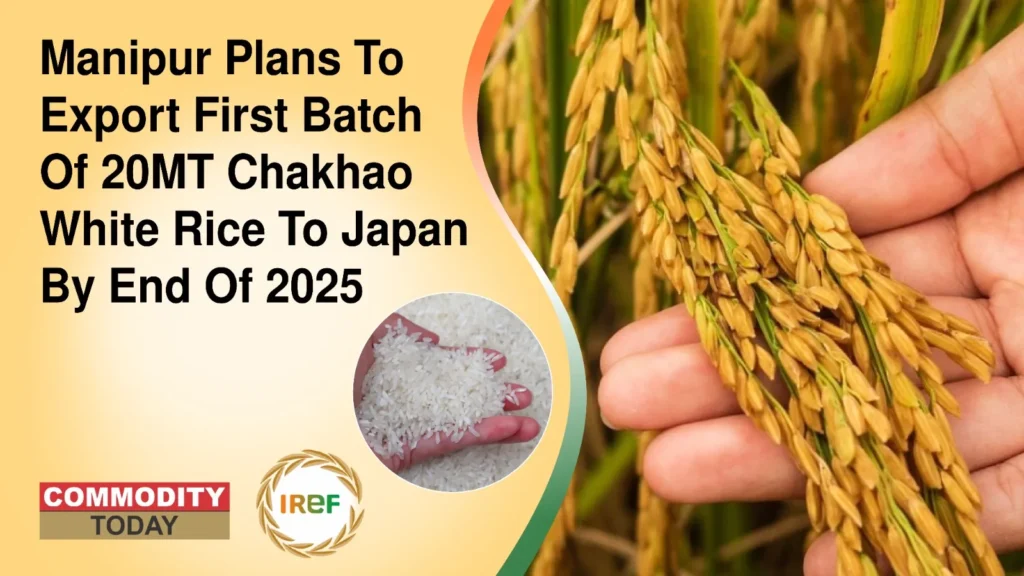 Manipur Plans To Export First Batch Of 20MT Chakhao White Rice To Japan By End Of 2025