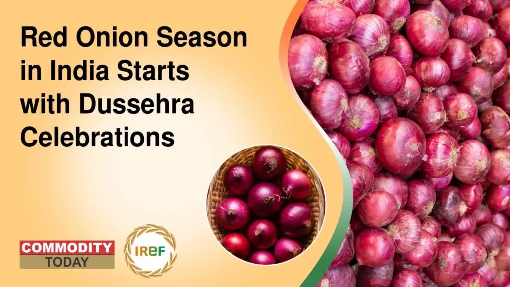 Red Onion Season in India Starts with Dussehra Celebrations