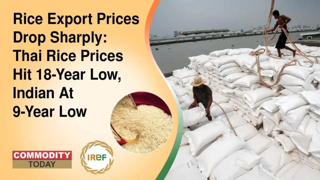 Rice Export Prices Drop Sharply Thai Rice Prices Hit 18-Year Low, Indian At 9-Year Low