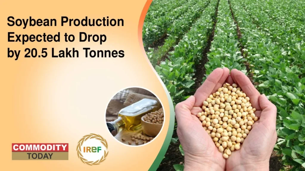 Soybean Production Expected to Drop by 20.5 Lakh Tonnes