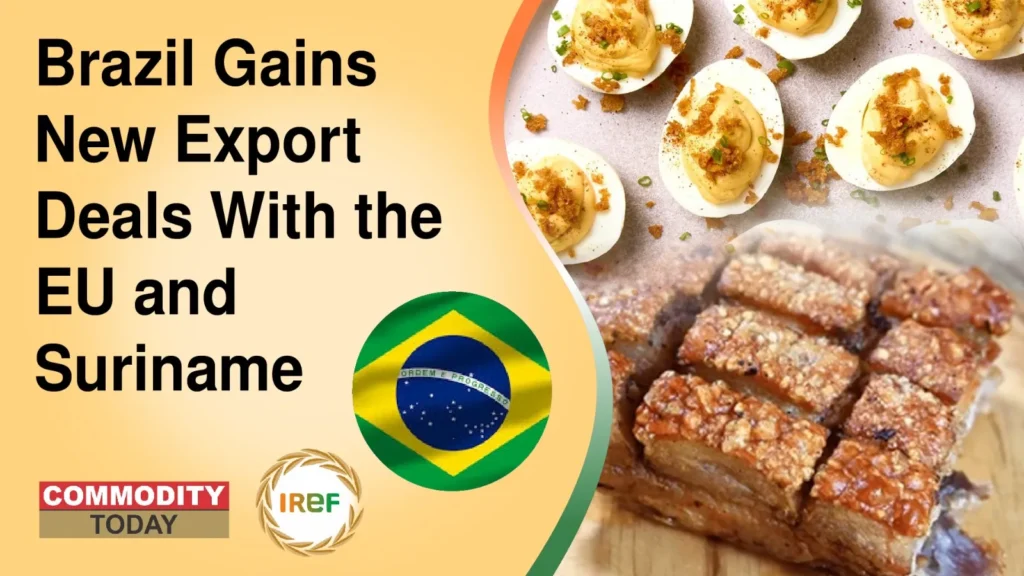 Brazil Gains New Export Deals With the EU and Suriname