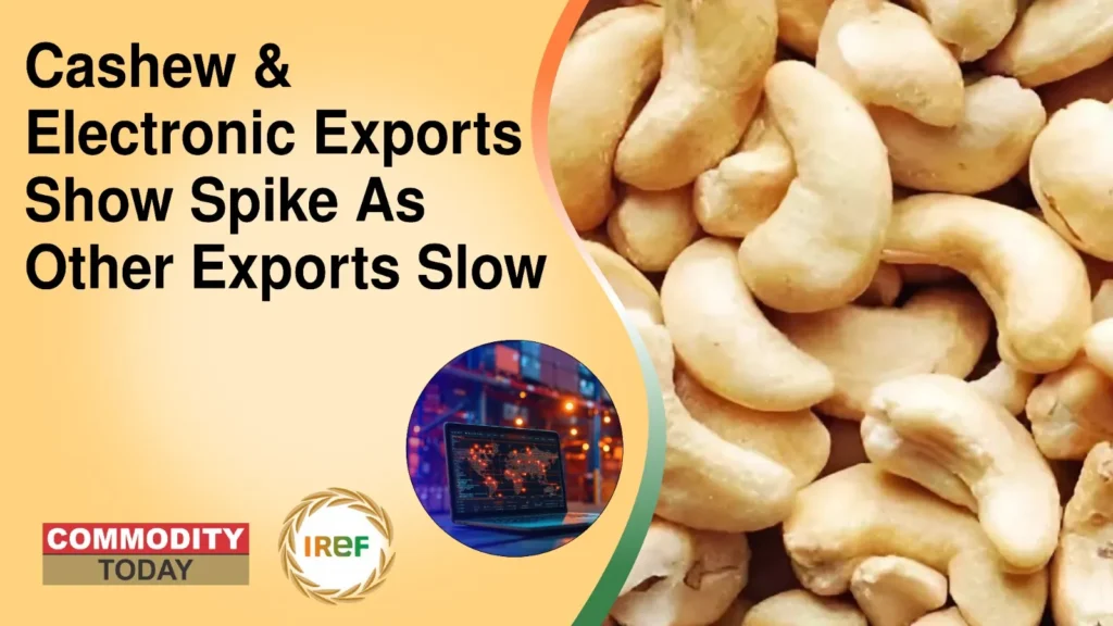 Cashew & Electronic Exports Show Spike As Other Exports Slow