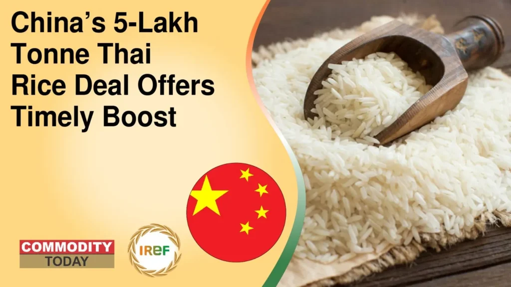 China’s 5-Lakh Tonne Thai Rice Deal Offers Timely Boost Amid US Tariffs Pressure