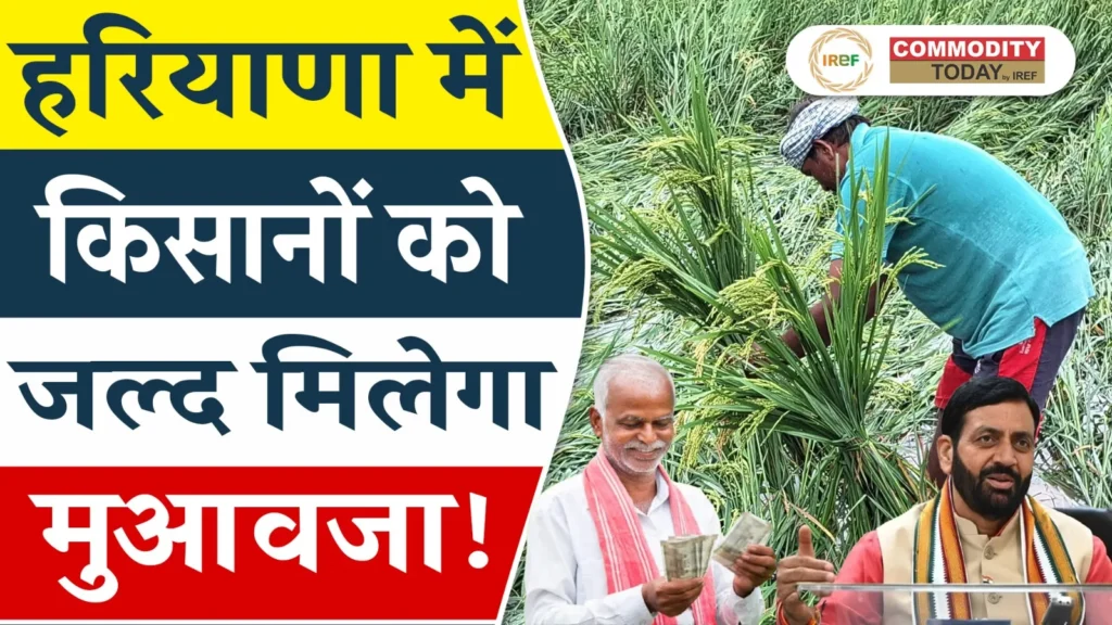 Flood-Affected Farmers in Haryana to Receive Compensation for Crop Damage
