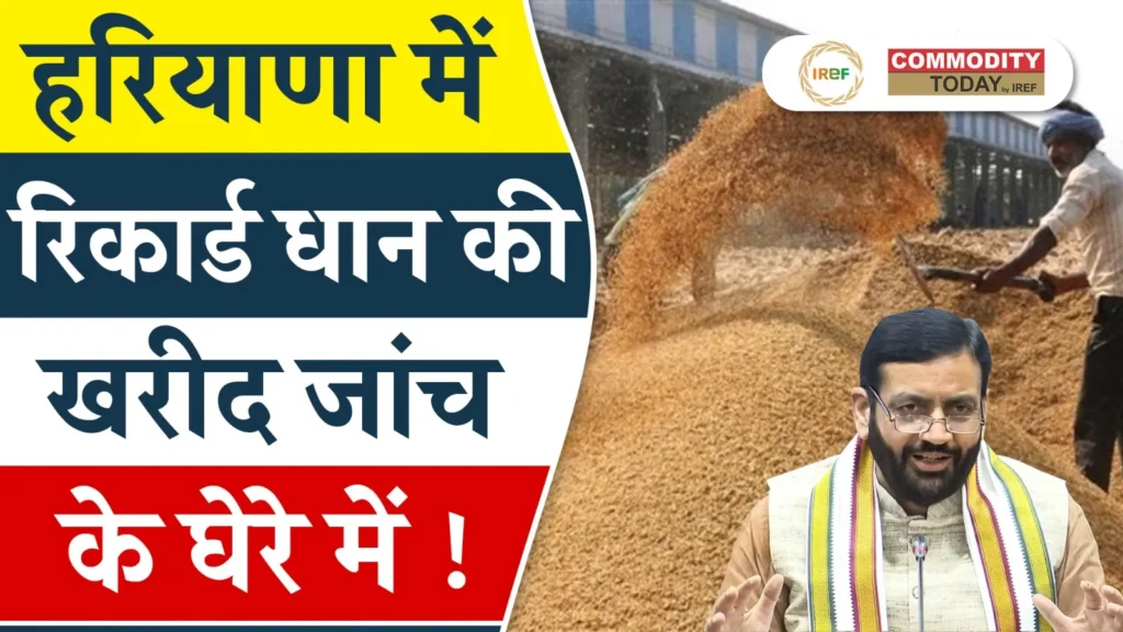 Increase in Paddy Arrivals Raises Red Flags as Haryana Hits Record Purchase