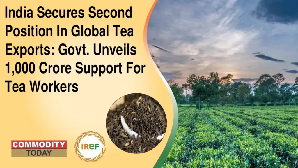 India Secures Second Position In Global Tea Exports Govt. Unveils 1,000 Crore Support For Tea Workers