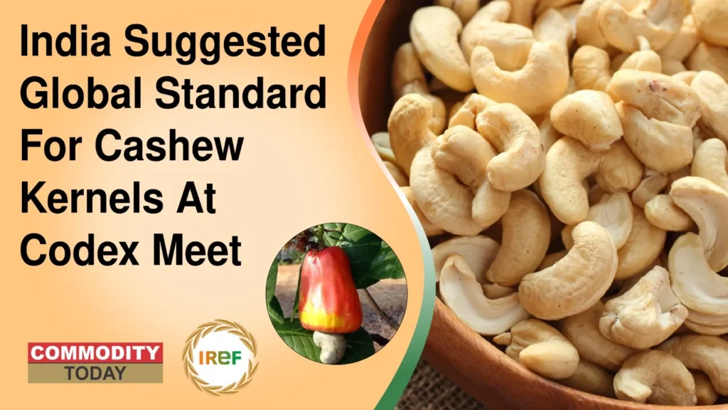 India Suggested Global Standard For Cashew Kernels At Codex Meet
