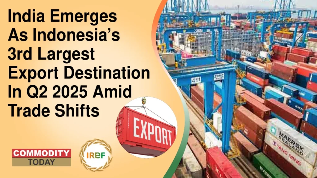 India emerges as Indonesia’s 3rd largest export destination in Q2 2025 amid trade shifts: Report