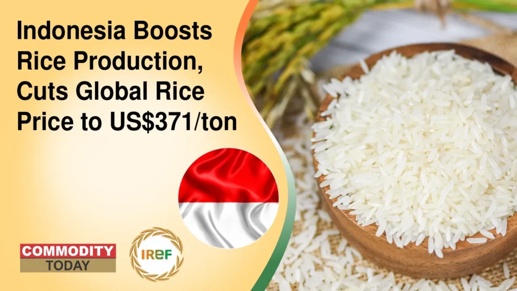 Indonesia Boosts Rice Production, Cuts Global Rice Price to US$371ton