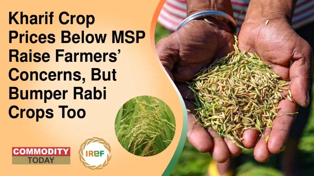 Kharif Crop Prices Below MSP Raise Farmers’ Concerns, But Bumper Rabi Crops Too