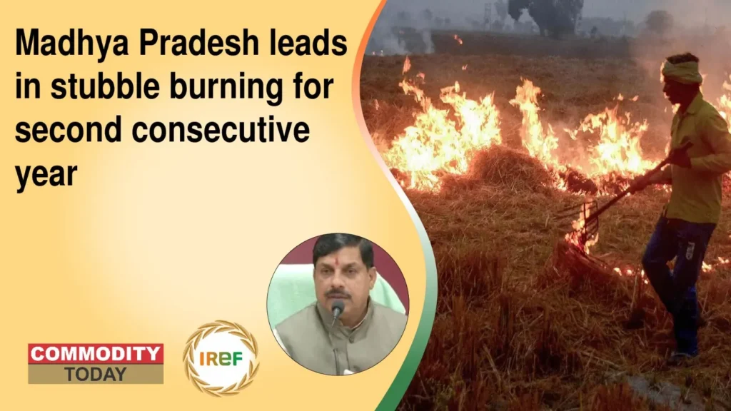 Madhya Pradesh leads in farm stubble burning for the second consecutive year