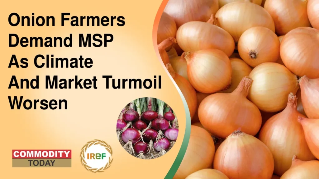 Onion Farmers Demand MSP As Climate And Market Turmoil Worsen