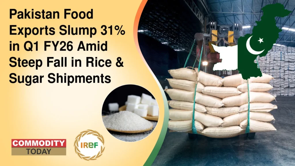 Pakistan Food Exports Slump 31% in Q1 FY26 Amid Steep Fall in Rice & Sugar Shipments