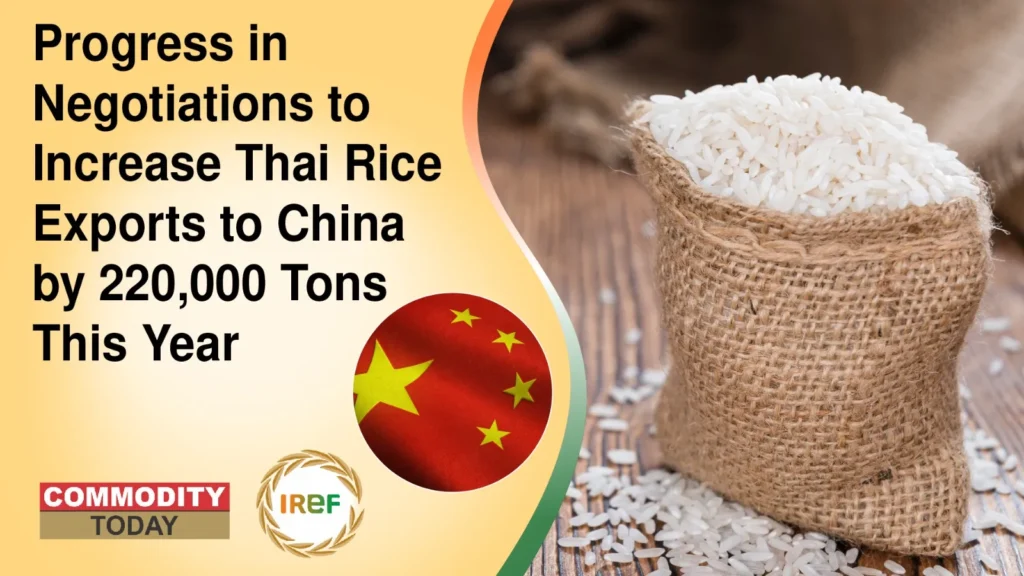 Progress in Negotiations to Increase Thai Rice Exports to China by 220,000 Tons This Year