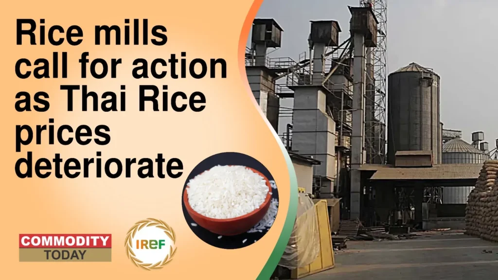 Rice Mills Call for Action as Thai Rice Prices Deteriorate