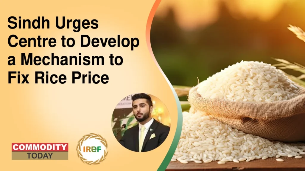 Sindh Urges Centre to Develop a Mechanism to Fix Rice Price