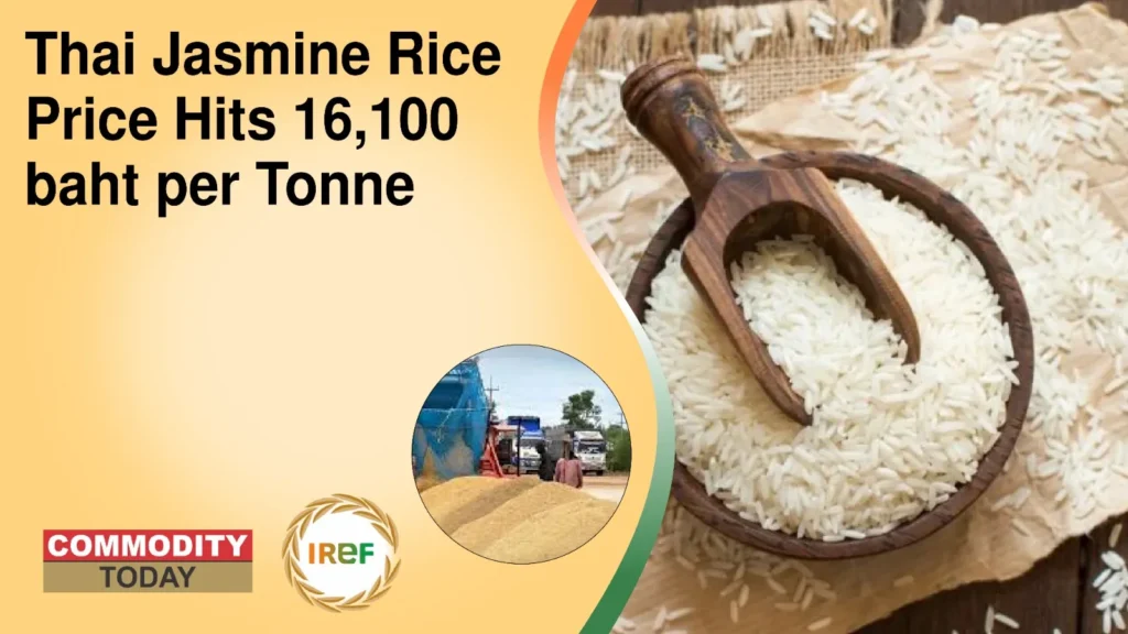 Thai Jasmine Rice Price Hits 16,100 baht per Tonne