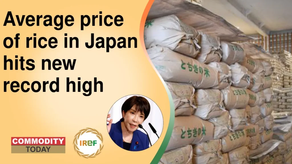 Average Price of Japan Rice Sets New Record High