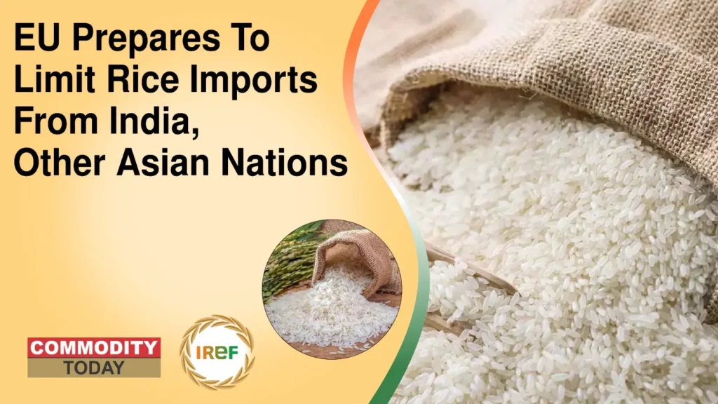 EU Prepares To Limit Rice Imports From India, Other Asian Nations