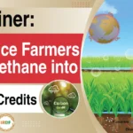 Explainer How Rice Farmers Can Increase Their Income Through Methane Emission Reduction and Carbon Credits