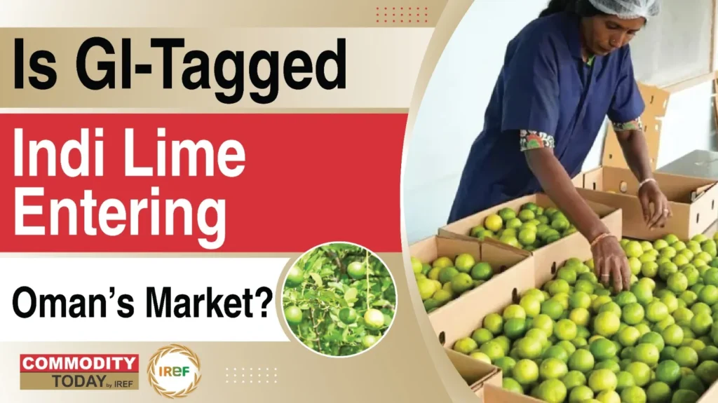 GI-Tagged Indi Lime Export Shipment Boosts Global Reach, Enters Oman