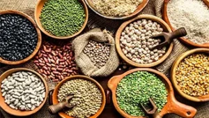 Indian Agri Sector Remains Strong Despite US Tariffs (2)