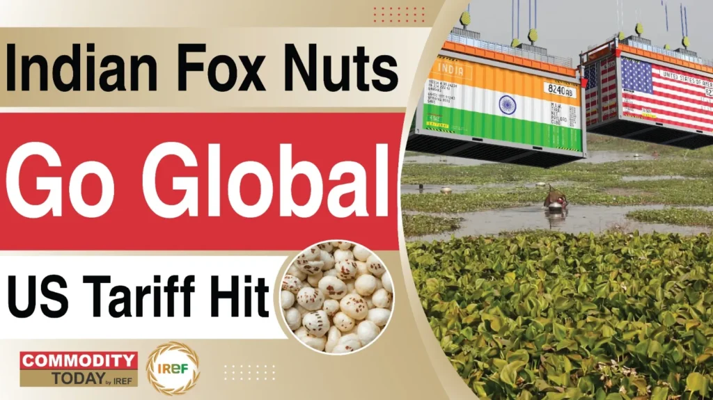 Indian Fox Nuts Look For New Markets After Trump’s Tariffs Hit Superfood