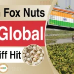 Indian Fox Nuts Look For New Markets After Trump’s Tariffs Hit Superfood