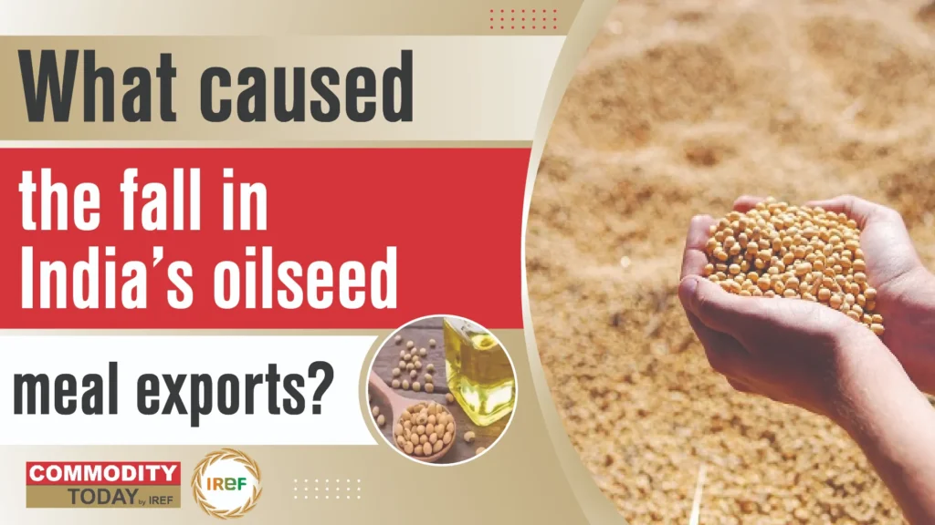 India’s Oilseed Meal Exports Fall 27% in November Amid Strong Mustard Meal Demand