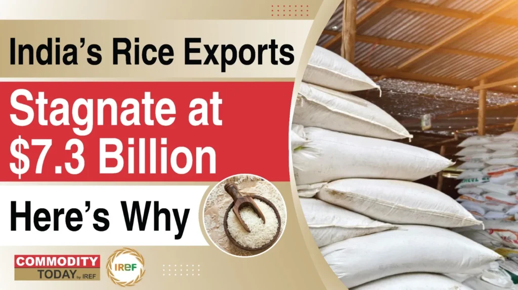 India's Rice Exports Stagnate at $ 7.3 Billion Amid US Tariffs & Iran’s Economic Crisis