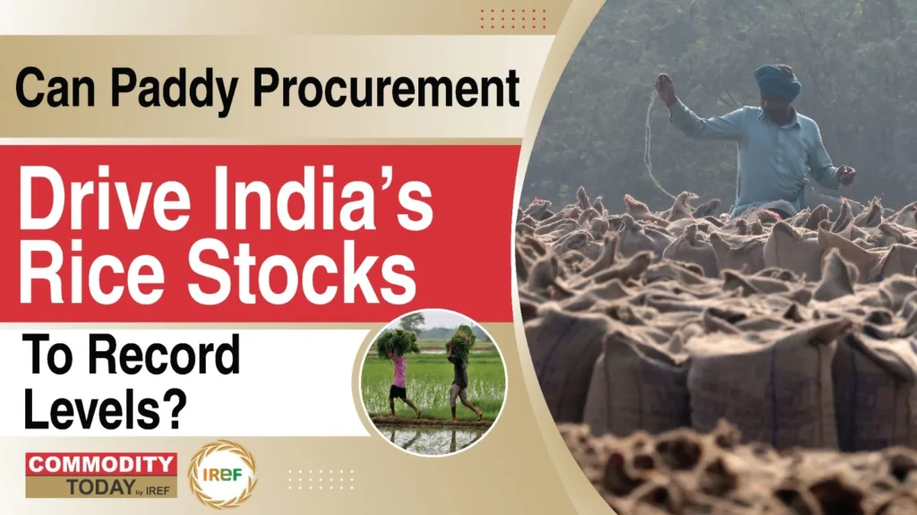 India’s Rice Stocks Rise To A Record High, Paddy Procurement Drives Export Growth