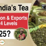 India’s Tea Production And Exports For 2025 Set To Beat 2024 Levels