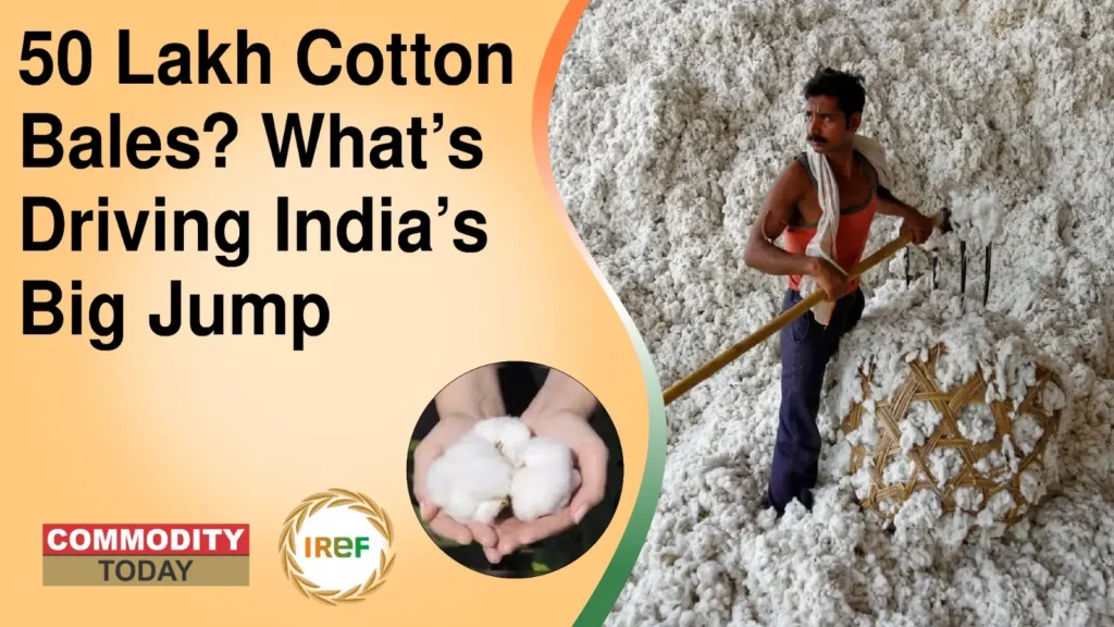 India’s cotton imports expected to hit record 50 lakh bales in 2025-26