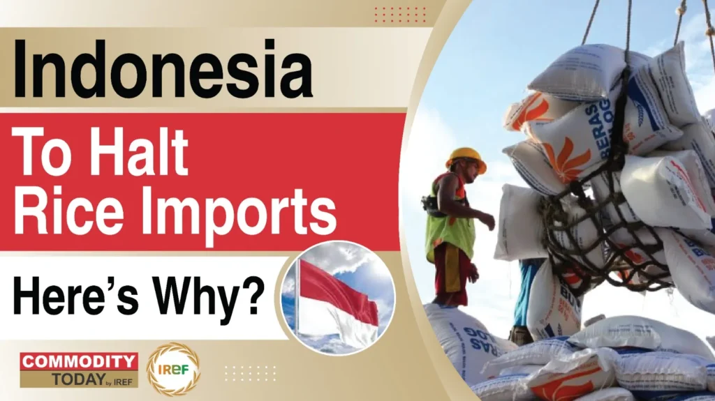 Indonesia To Halt Rice Imports Next Year