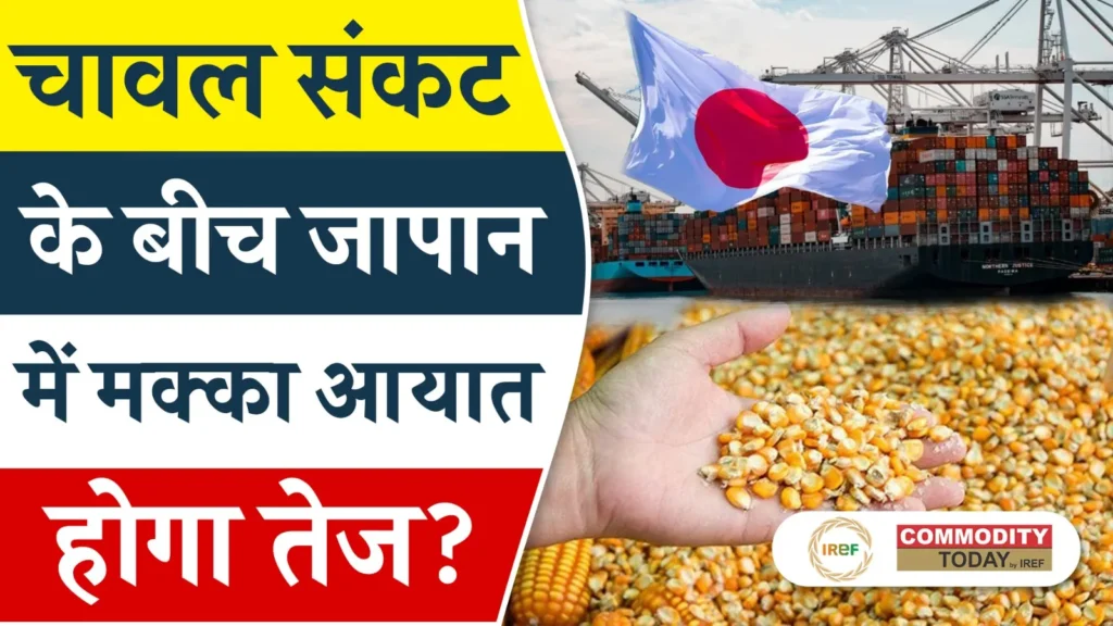 Japan’s Feed Industry Shifts Toward Corn as Rice Prices Remain Elevated