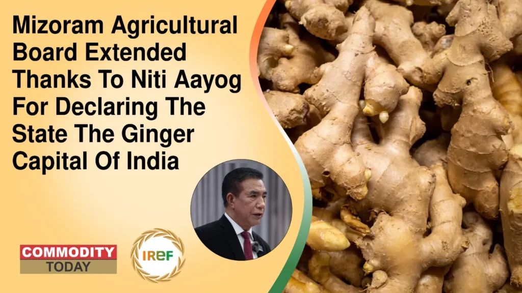 Mizoram Agricultural Board Extended Thanks To Niti Aayog For Declaring The State The Ginger Capital Of India