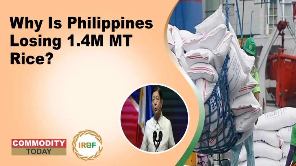 Philippine rice imports to plunge by 1.4 million MT due to prolonged ban