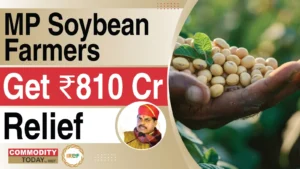 Relief For Soybean Farmers, MP Govt. to send Rs 810 Crore