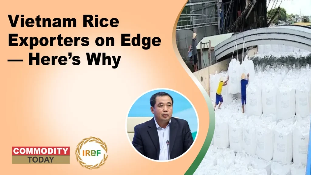 Vietnam’s rice exporters urge government to ease market risk as Philippines tightens import curbs