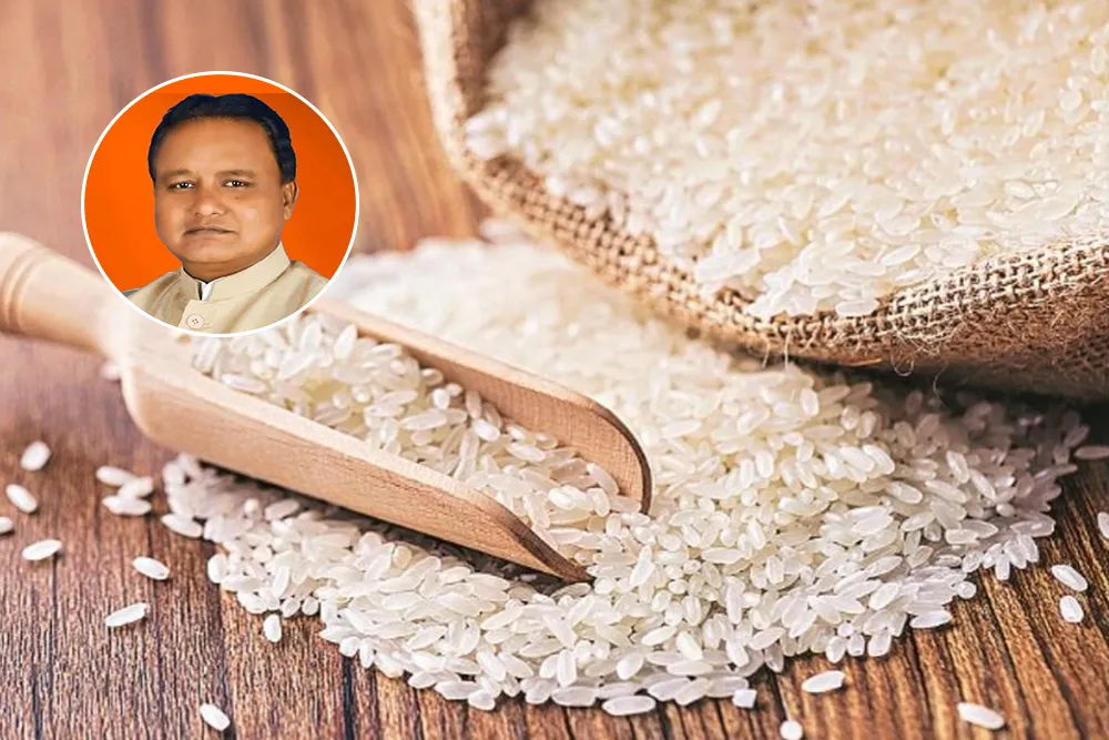 Jalidhi Rice Paddy Production, Punjab Rice Millers: Top rice news