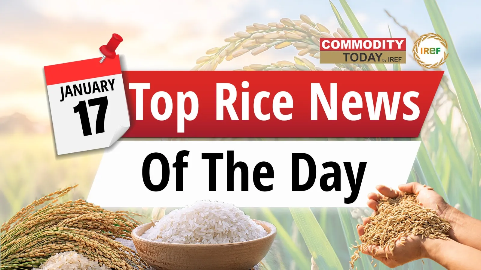 From Japanese Agri Minster’s Visit For Rice Exports To New Identity For Vietnamese Rice. Here Are The Top Rice News