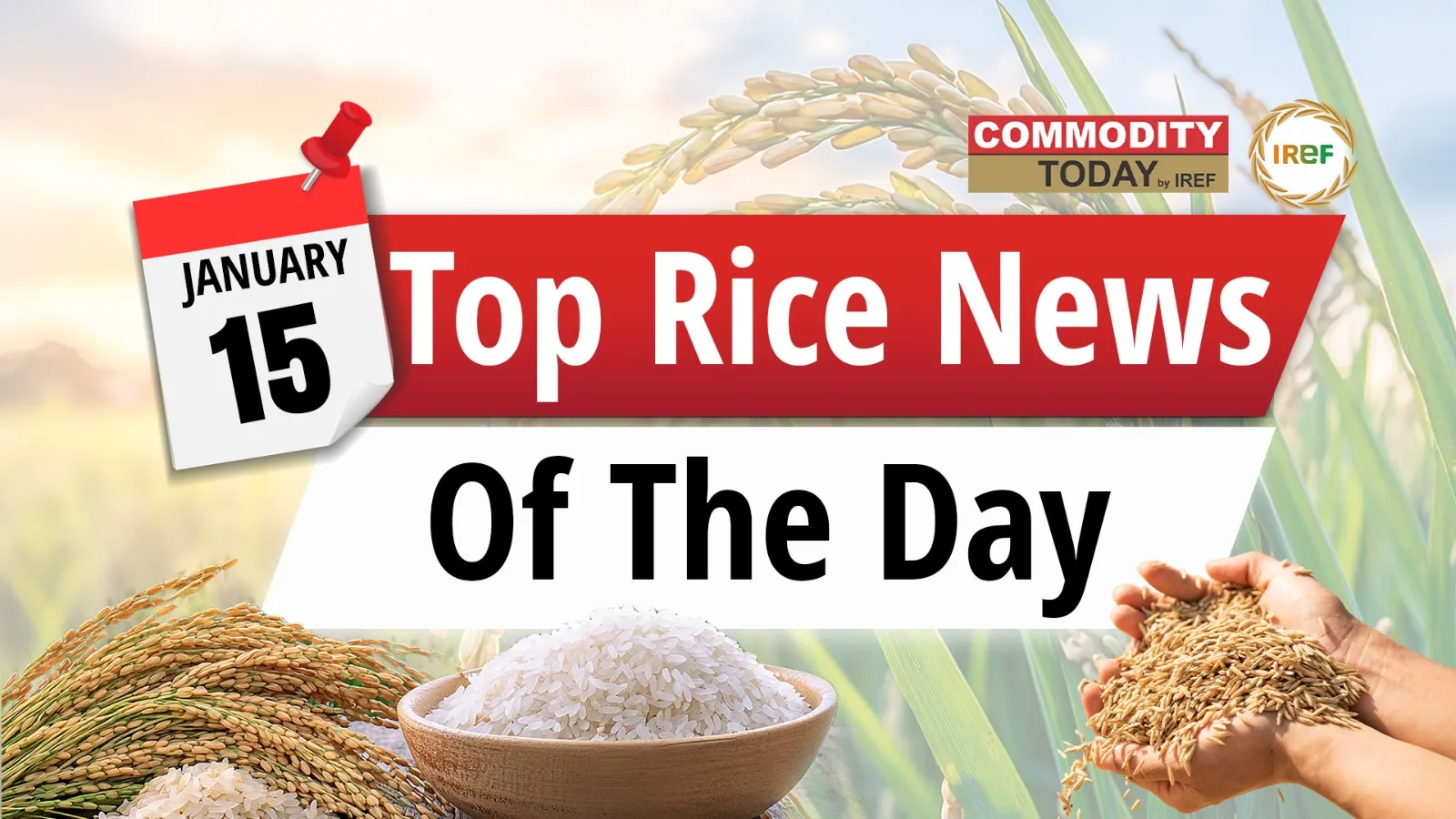 From Myanmar Donating Rice to Philippines’ Rice Deal with Vietnam: Here are the Top Rice News of the Day
