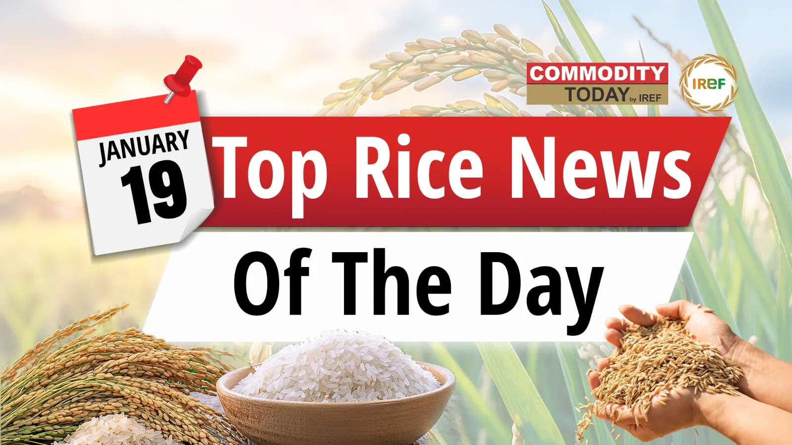 From Rice Stock Opportunities For Direct Sales To Consumers To Punjab Rice Farmers Earning Carbon Credits. Here is today’s Top Rice News.