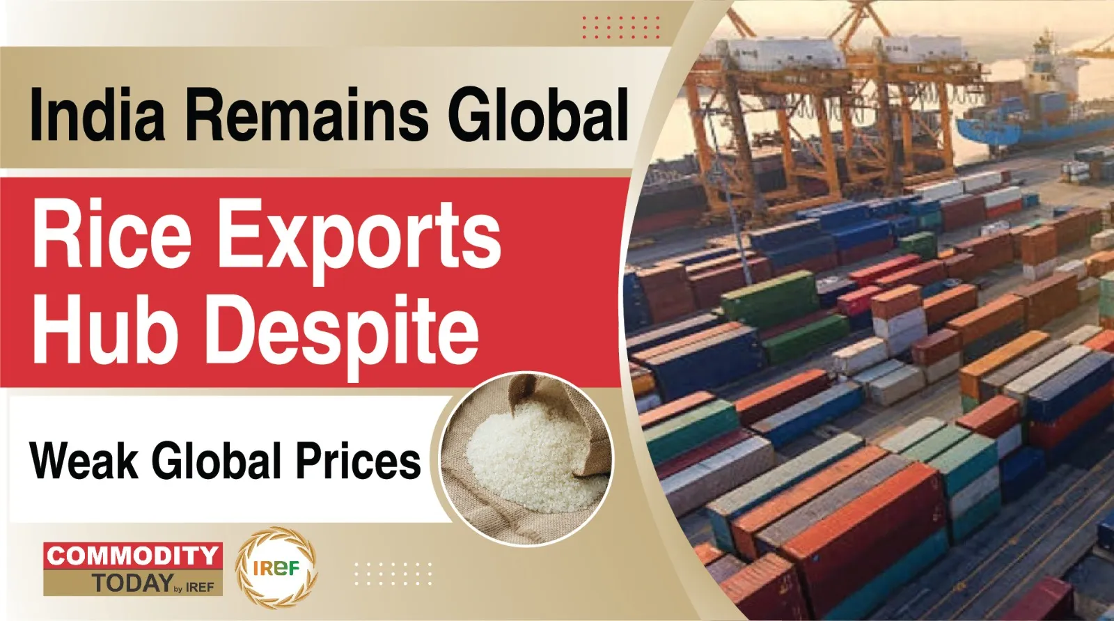 India Remains Global Rice Exports Hub Despite Weak Global Prices