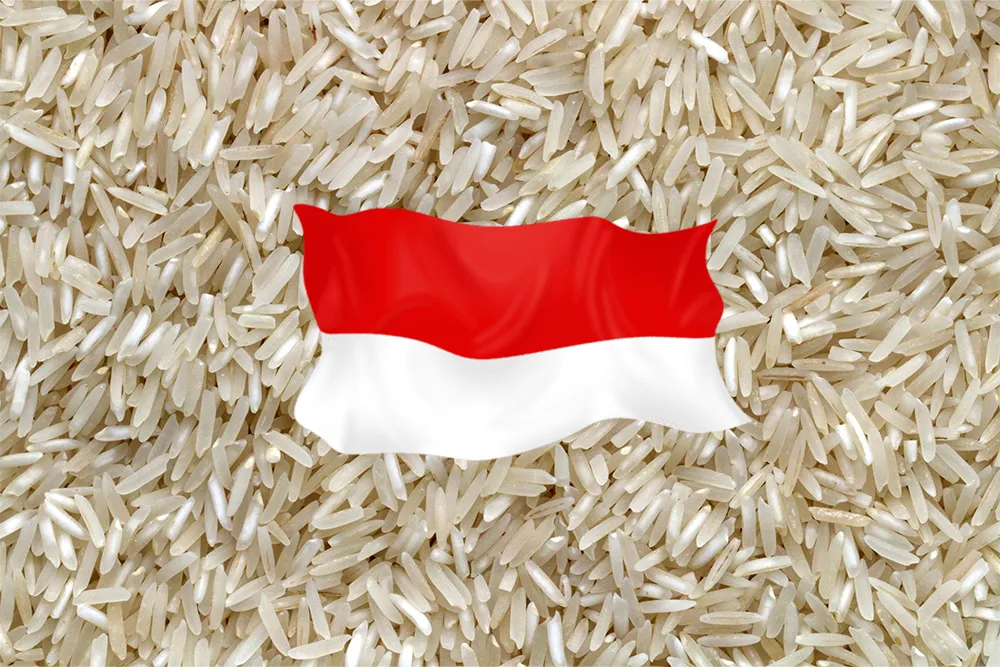 Indonesia Applauds Victory In Rice Self-Sufficiency