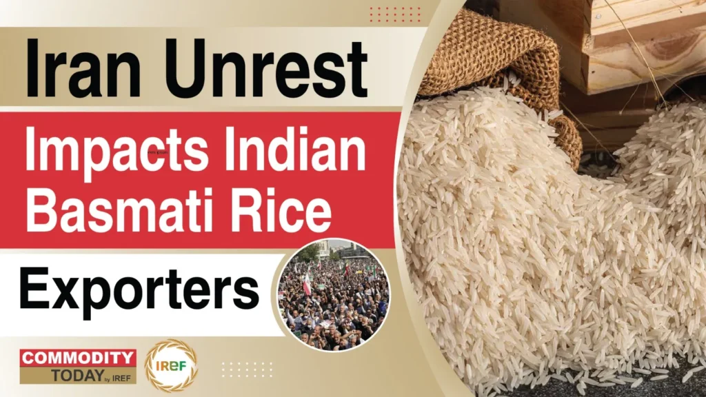 Iran Unrest Impacts Indian Basmati Rice Exporters Payments Delayed And Shipments At Risk