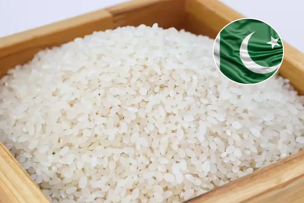 From Pakistan Ranking as the World’s Third-Largest Rice Exporter to ...