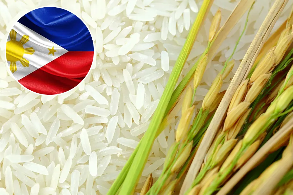 Philippine Department Of Agriculture Witness No Drastic Rise In Retail Prices Amid Impending Hike In Tariff