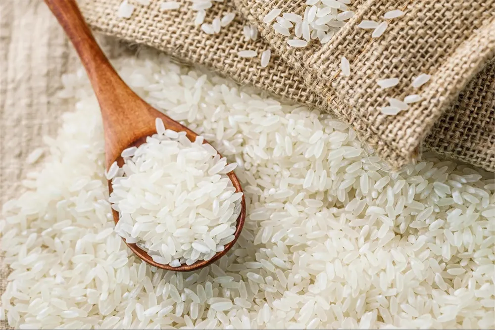 Paddy Production, Punjab Rice Millers: Top rice news