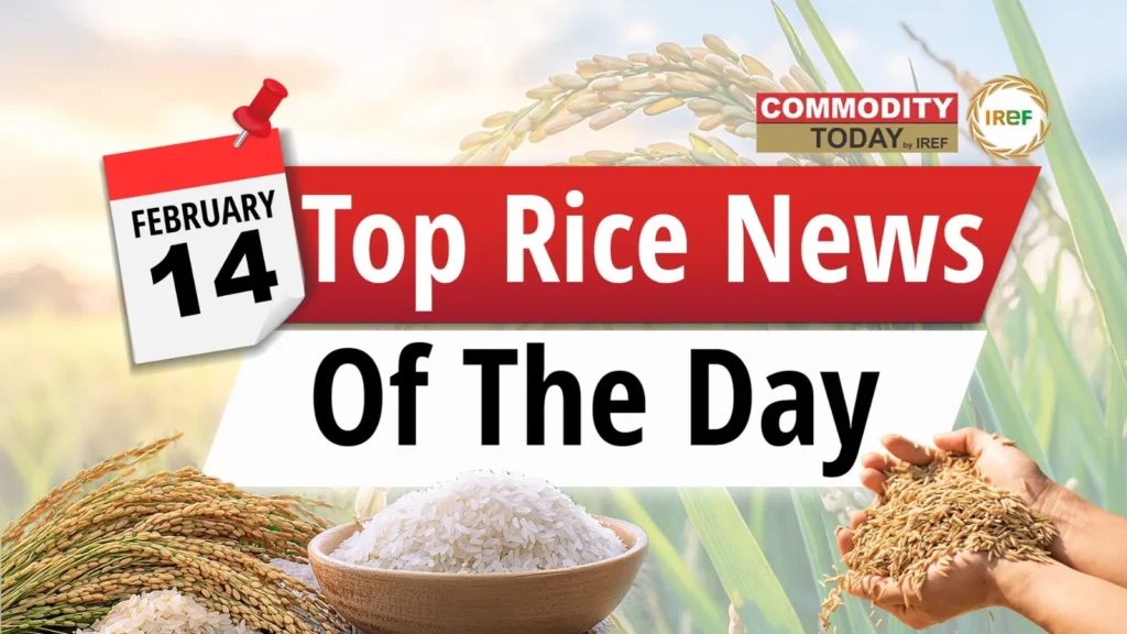 Today’s Top Rice News Chhattisgarh Strengthens the Rice Bowl, India’s Rice Milling Market Set for Growth, Global Seed Innovation & AI Transforming Rice Breeding